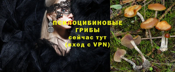 экстази Белокуриха