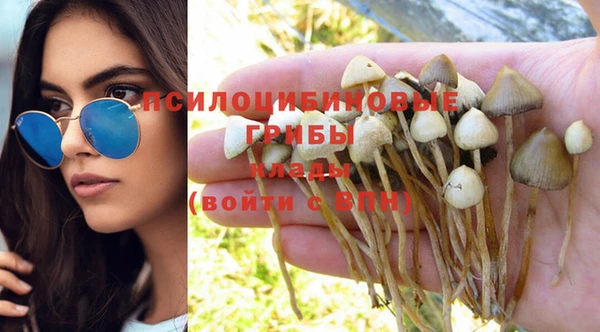 молекула духа Балахна