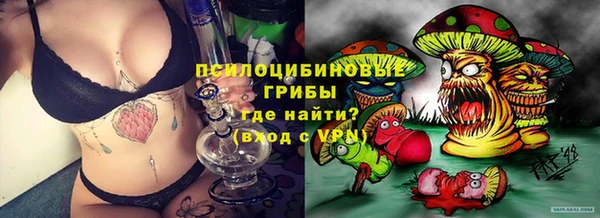 spice Тихвин