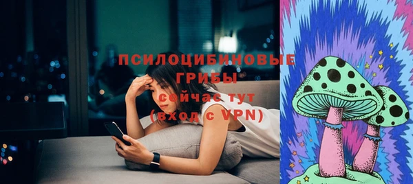 молекула духа Балахна