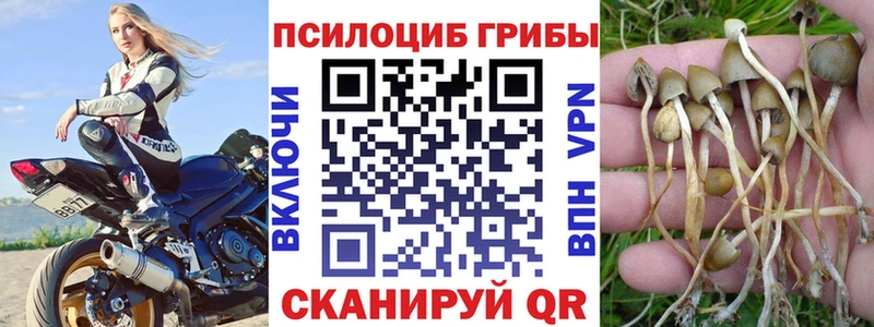 OMG рабочий сайт  Кукмор  Псилоцибиновые грибы мухоморы 